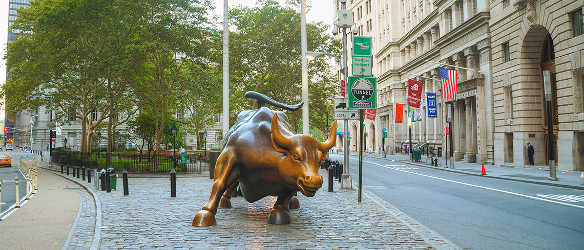 Bull